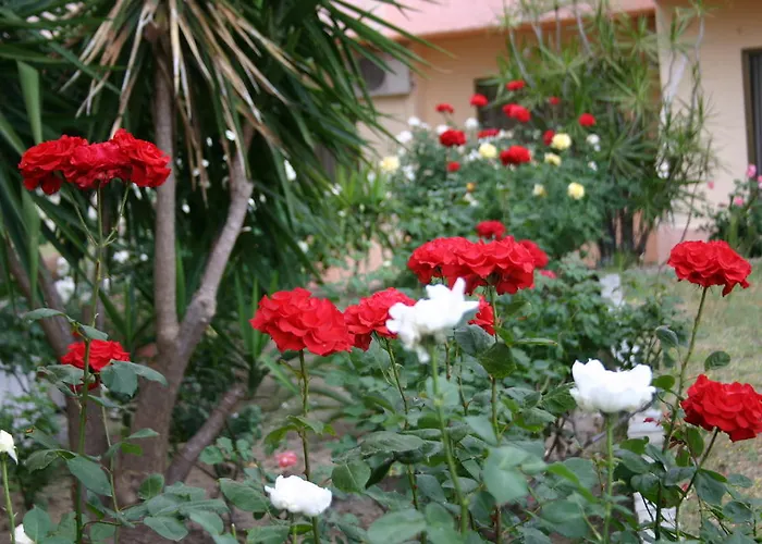 Lägenhetshotell Lyristis Dinos &